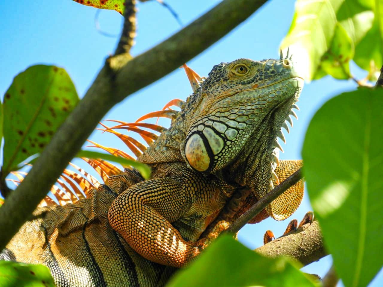Tours y paquetes turísticos en Guatemala