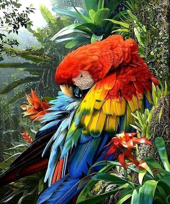 Tours y paquetes turísticos en Guatemala