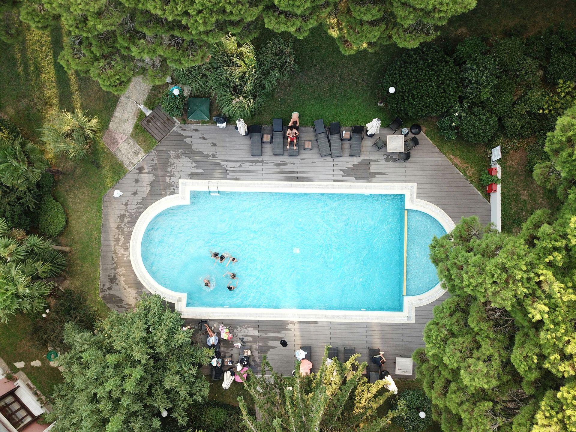 An aerial view of a large swimming pool surrounded by trees.