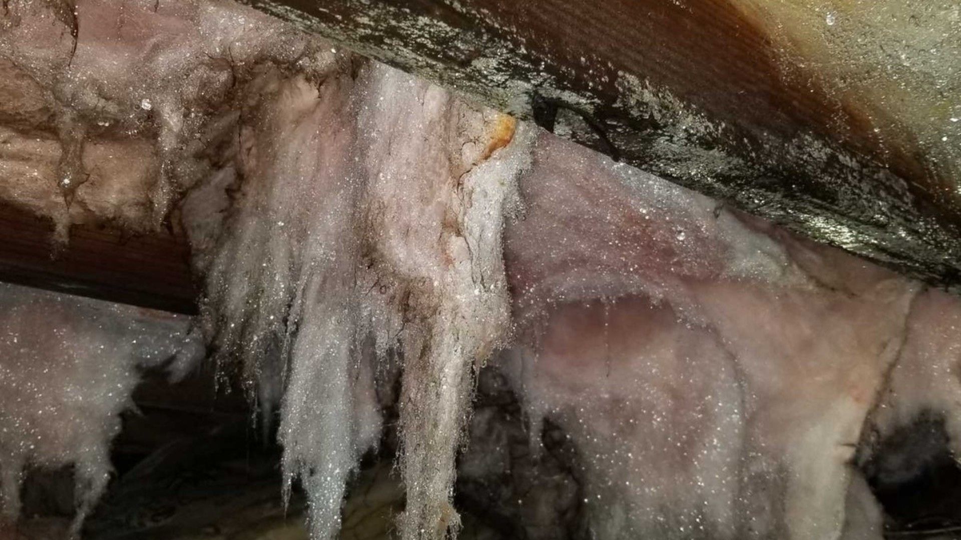 Crawl Space Mold Inspection