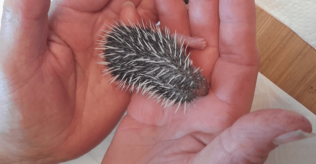 Community Partner Spotlight 1