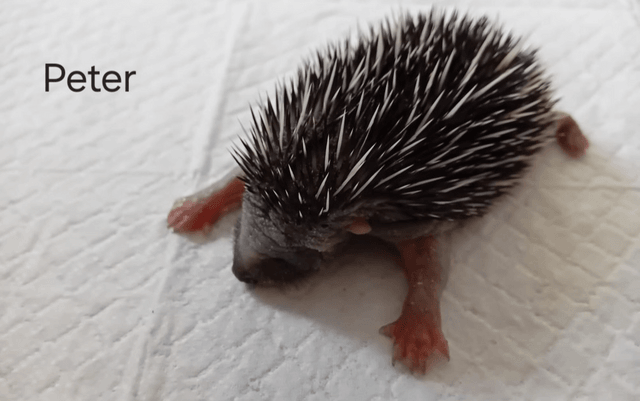 Community Partner Spotlight 2