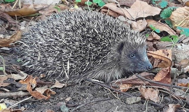 Community Partner Spotlight 3