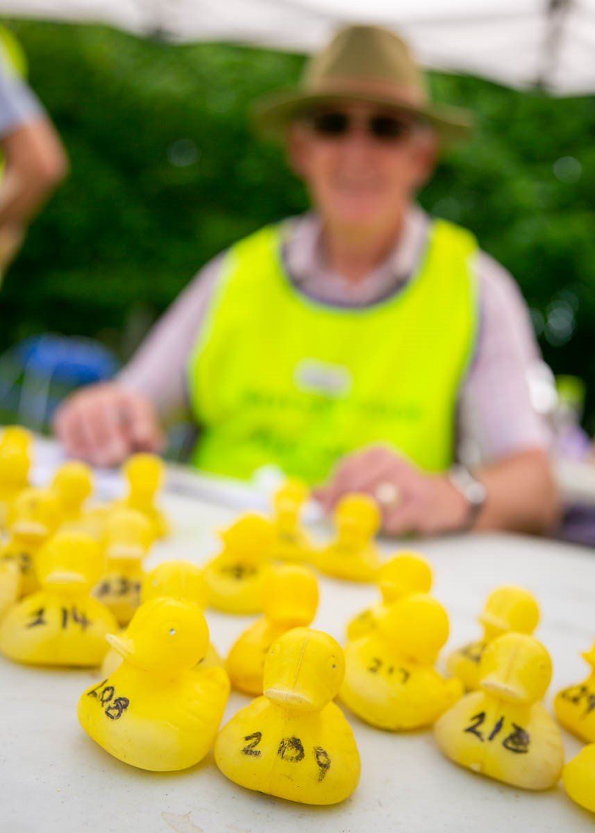 Collection of small ducks for Fakenham Duck Race