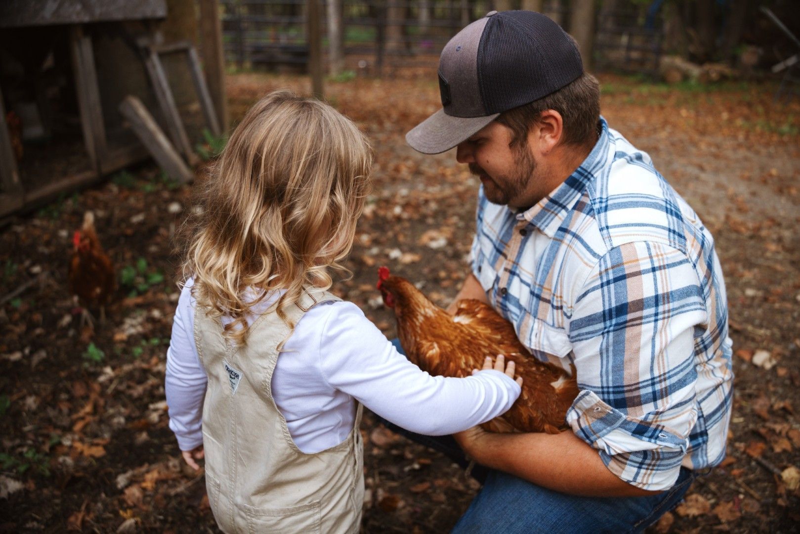 People Petting Chicken