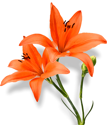 Warker-Troutman Funeral Home, Inc | Pottstown, PA