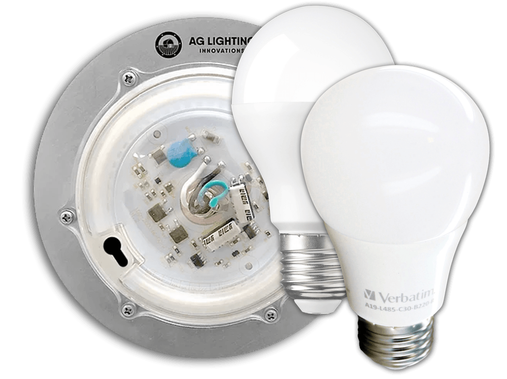 A white light bulb is sitting next to a white light bulb