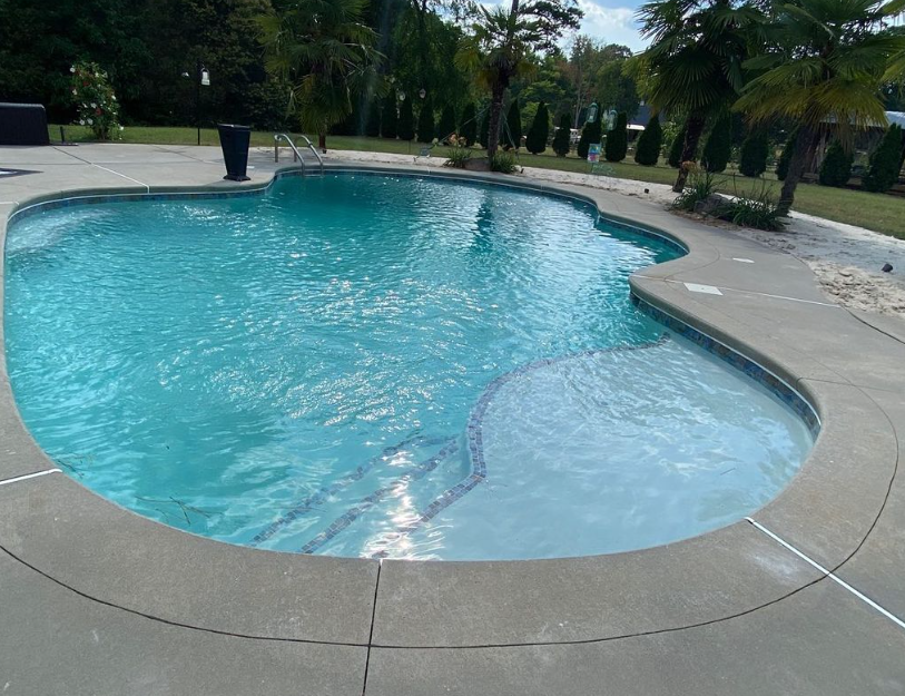 A large swimming pool with palm trees in the background