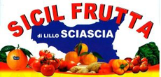 TRASPORTI LILLO SCIASCIA e FIGLI-LOGO