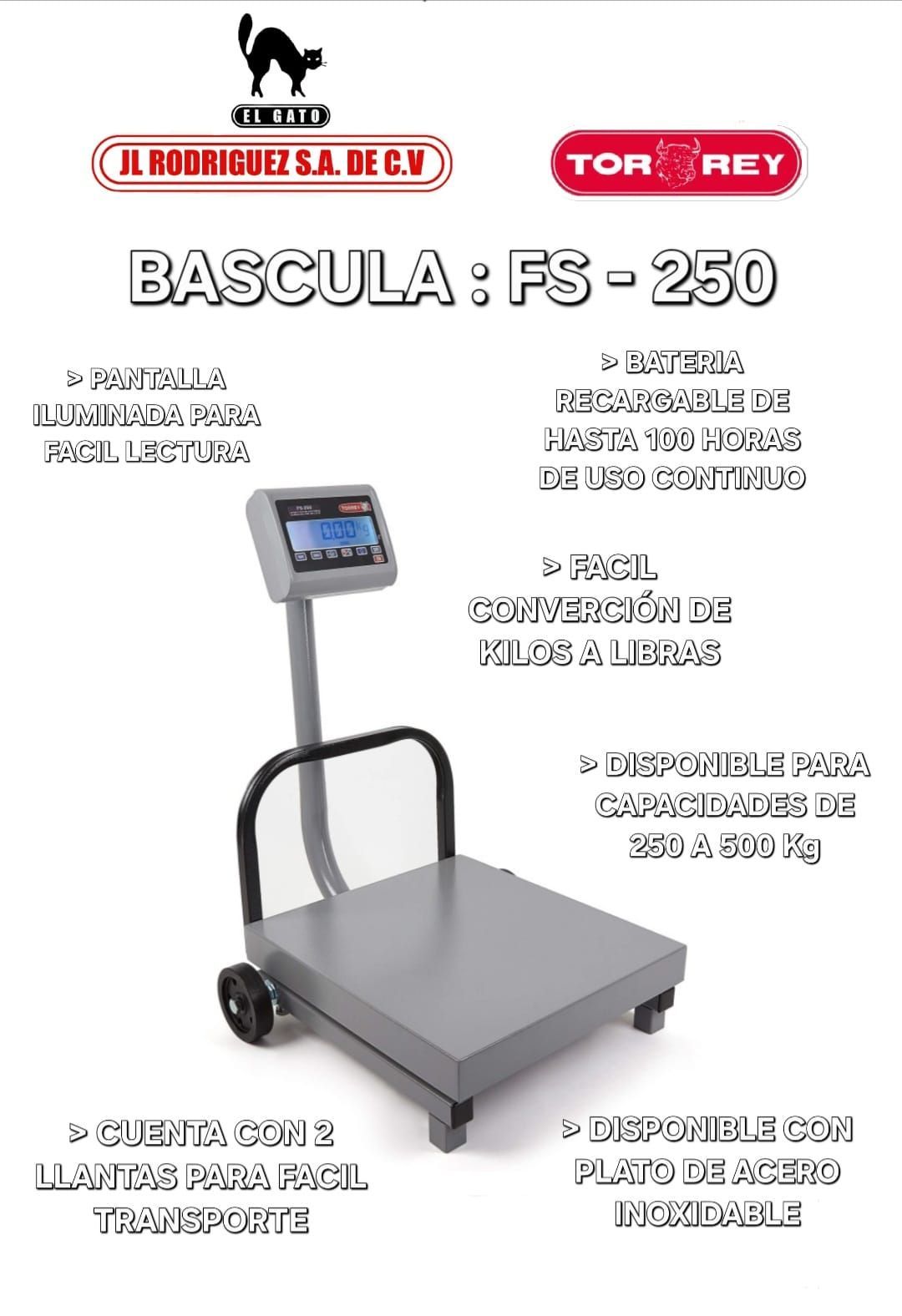 BASCULA FS-500