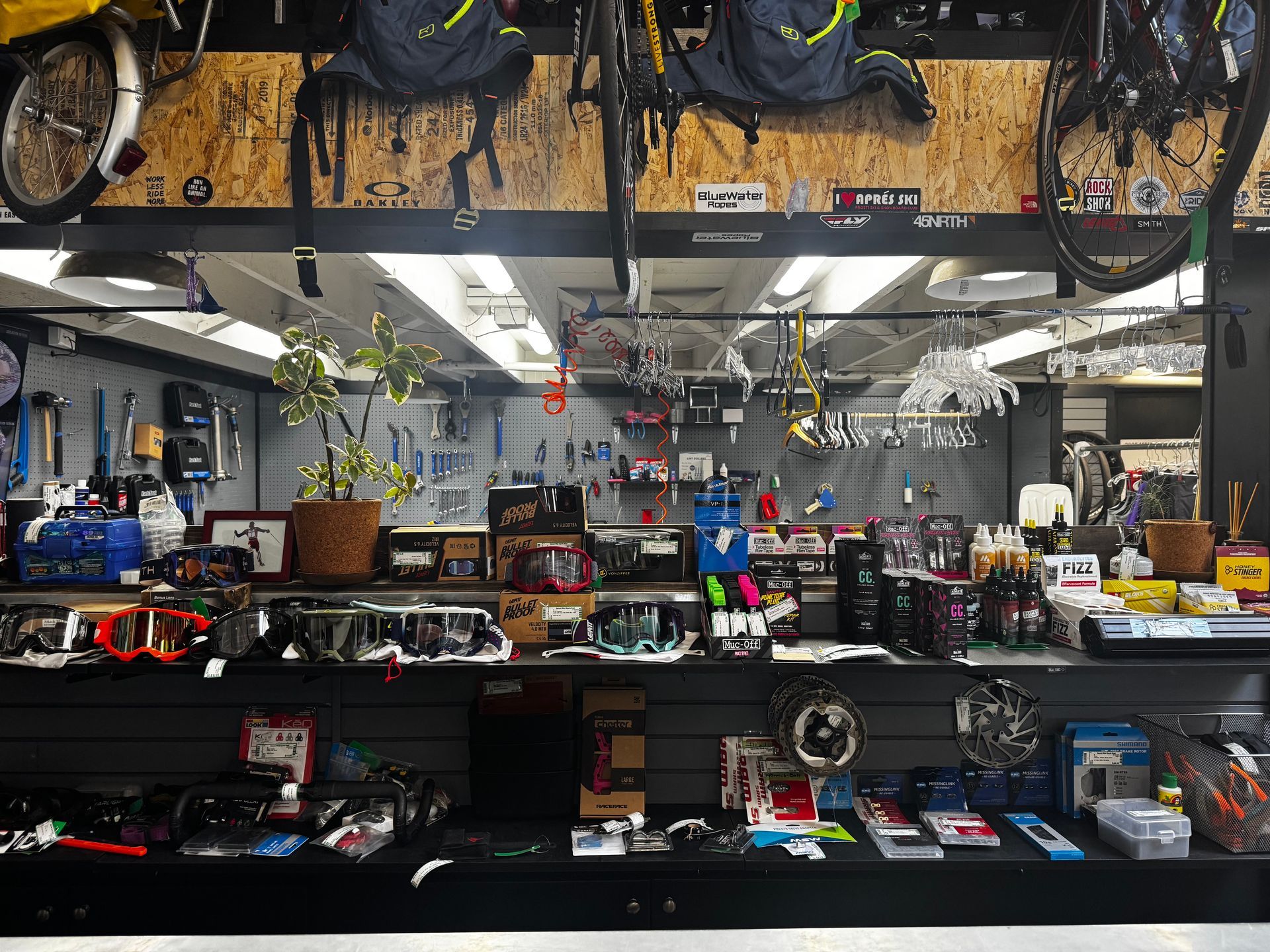 A bicycle shop with a lot of bicycles hanging from the ceiling.
