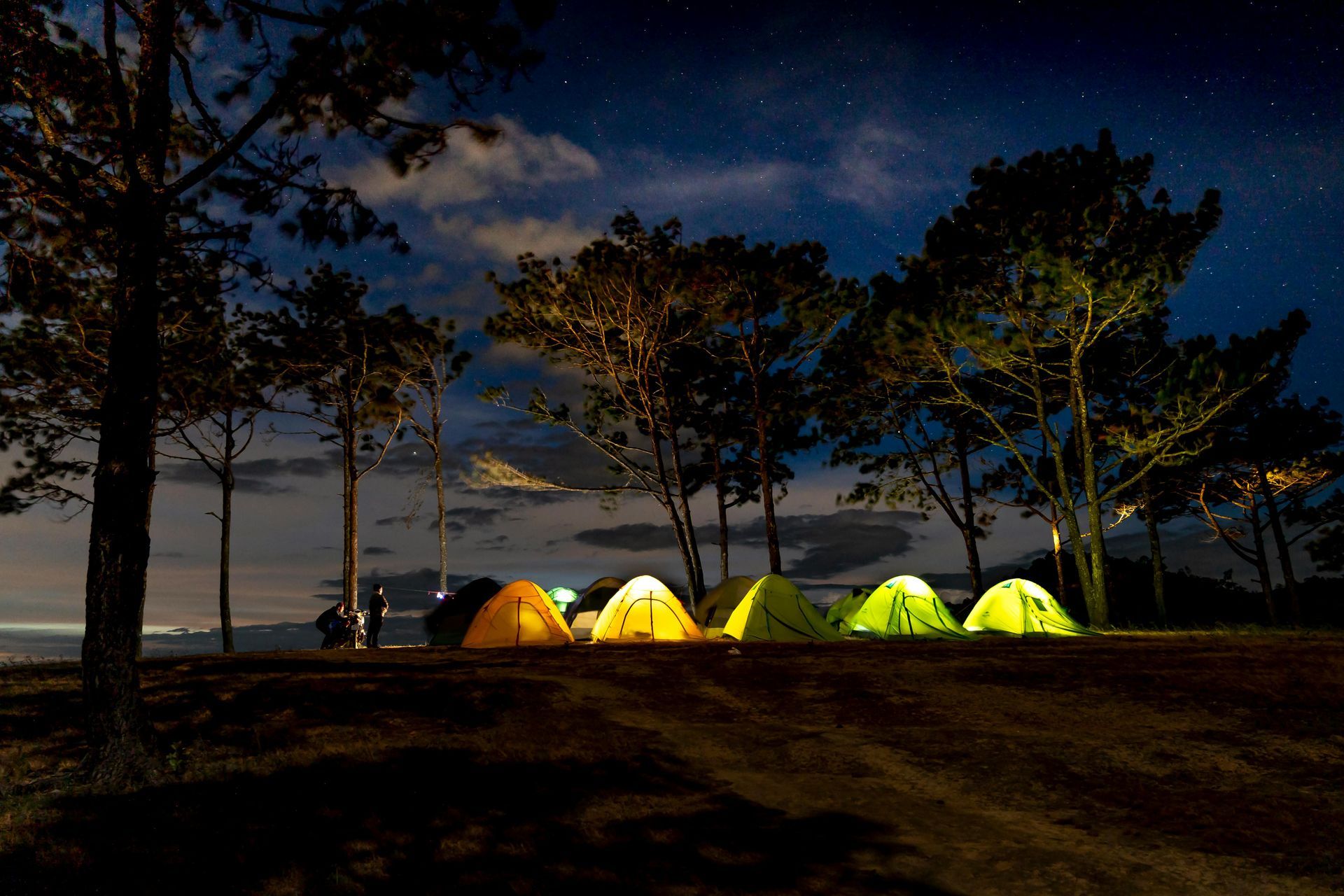 A row of illuminated yellow and green tents nestled among dark pine trees under a night sky filled with faint stars.