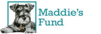 Maddie's Fund