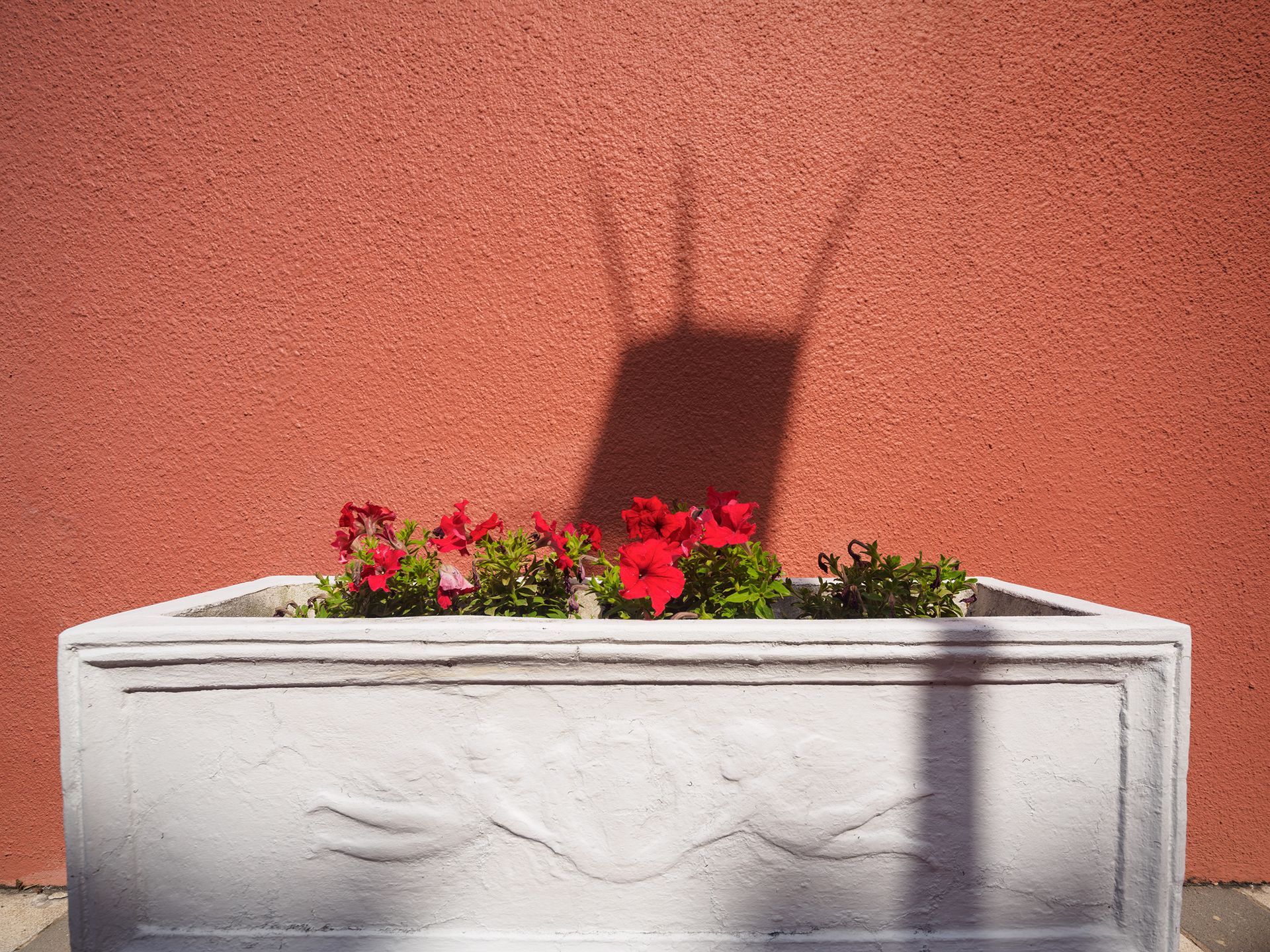 Photo of a large pot of flowers