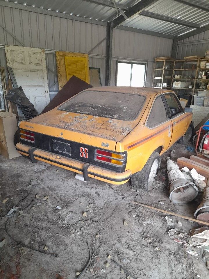 Bundaberg Auction Centre Auction Centre in Bundaberg