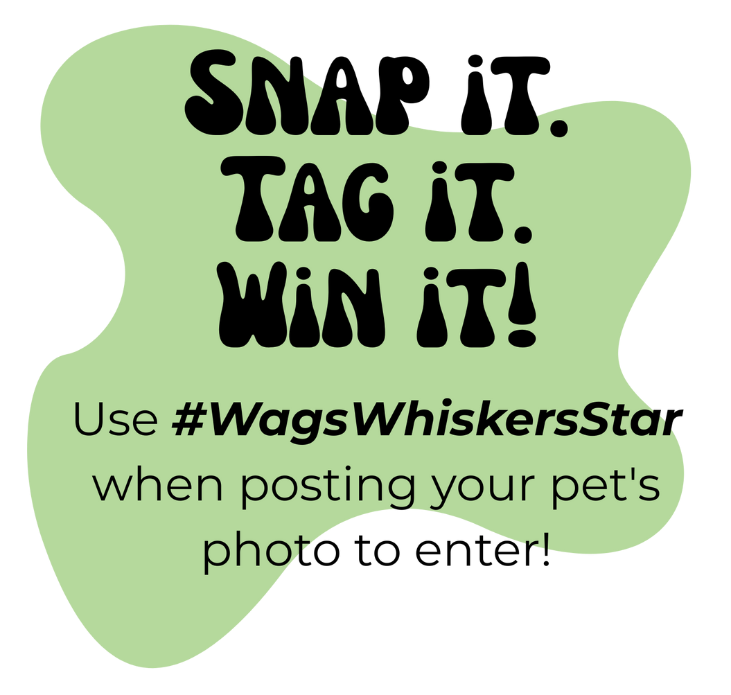Snap it tag it win it use #wagswhiskersstar when posting your pet 's photo to enter