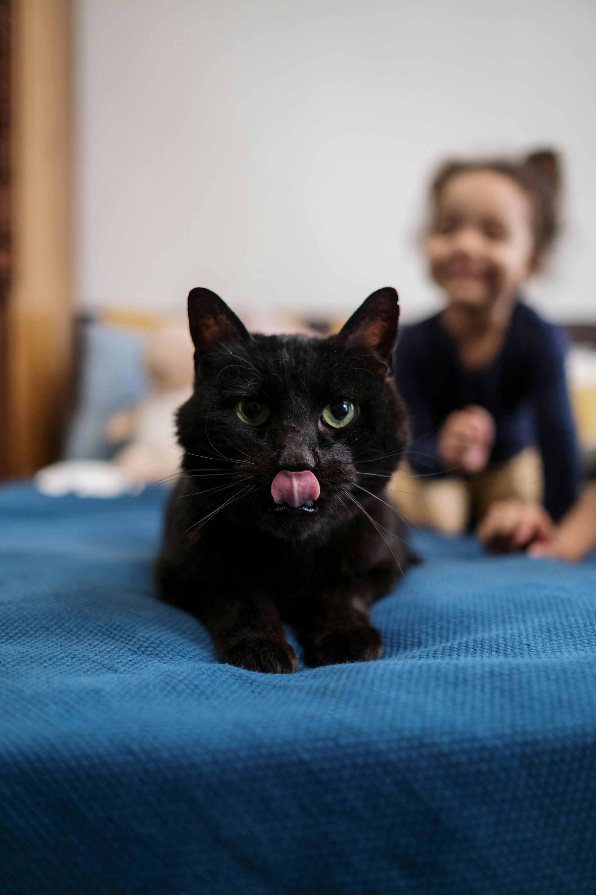 A black cat is licking its nose while laying on a bed.