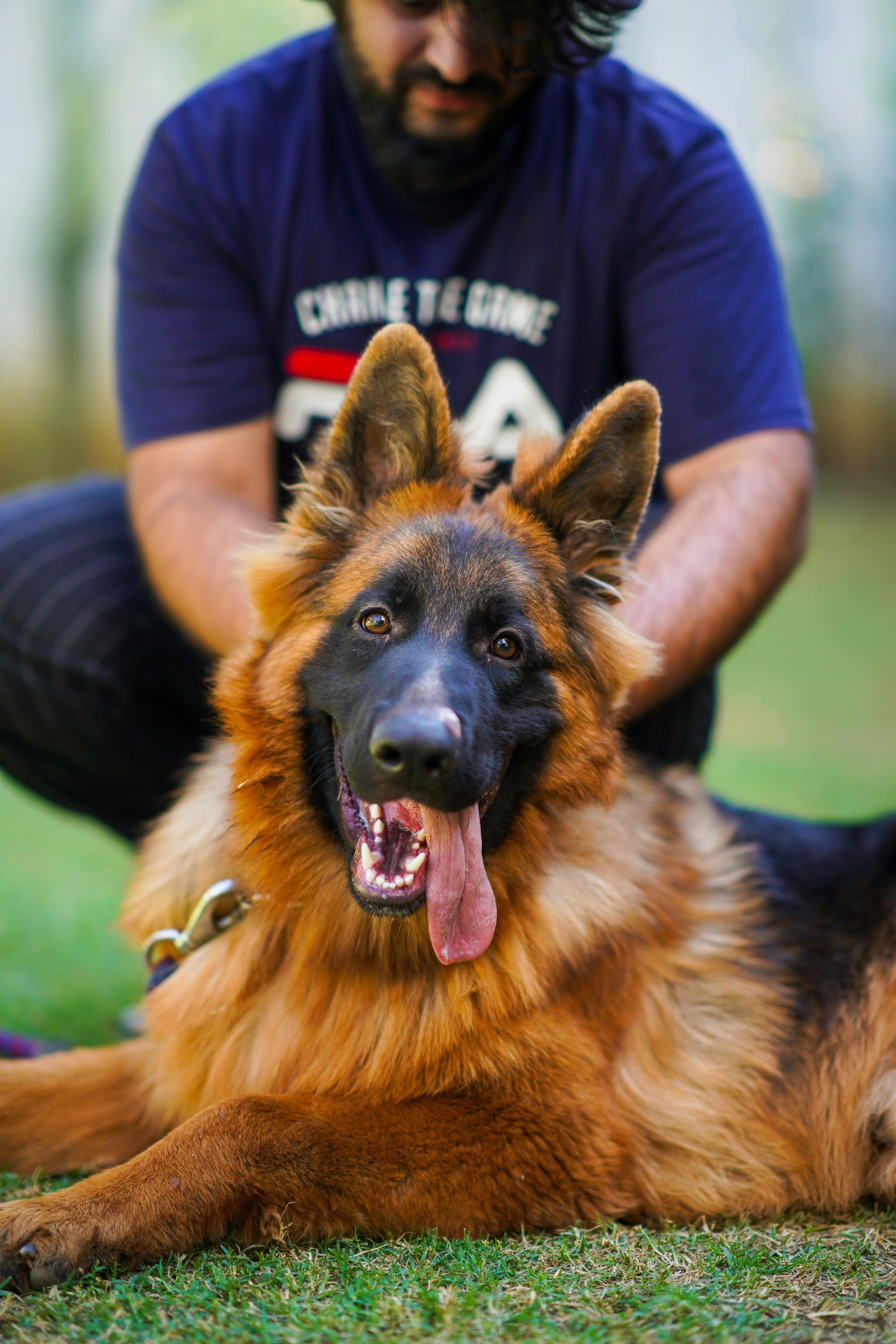 A man is kneeling down next to a german shepherd dog.