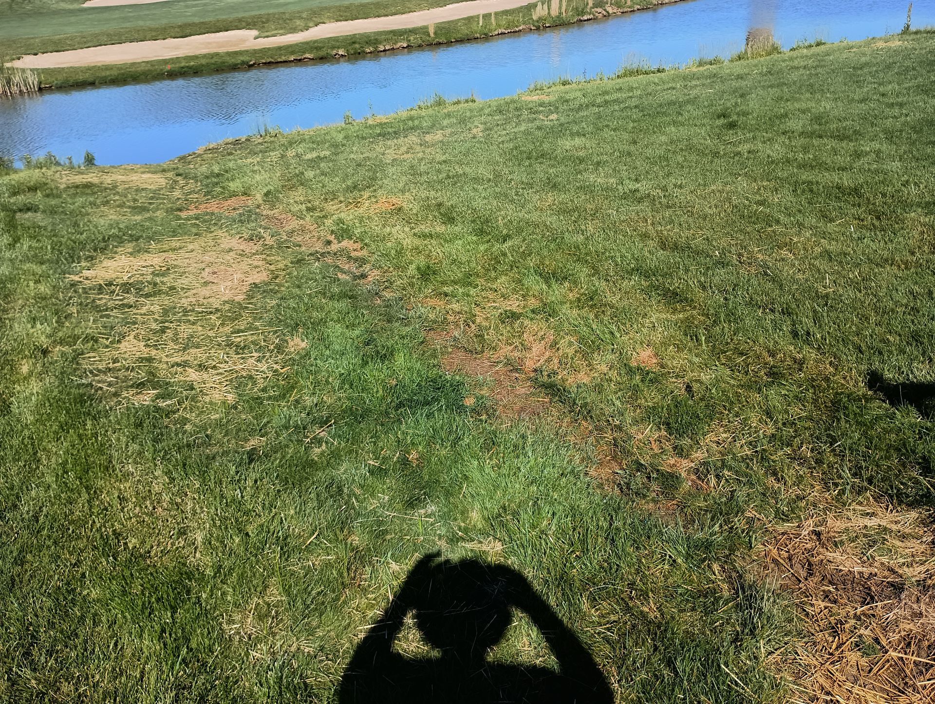 Shadow of person on grassy hill overlooking water and a golf course.
