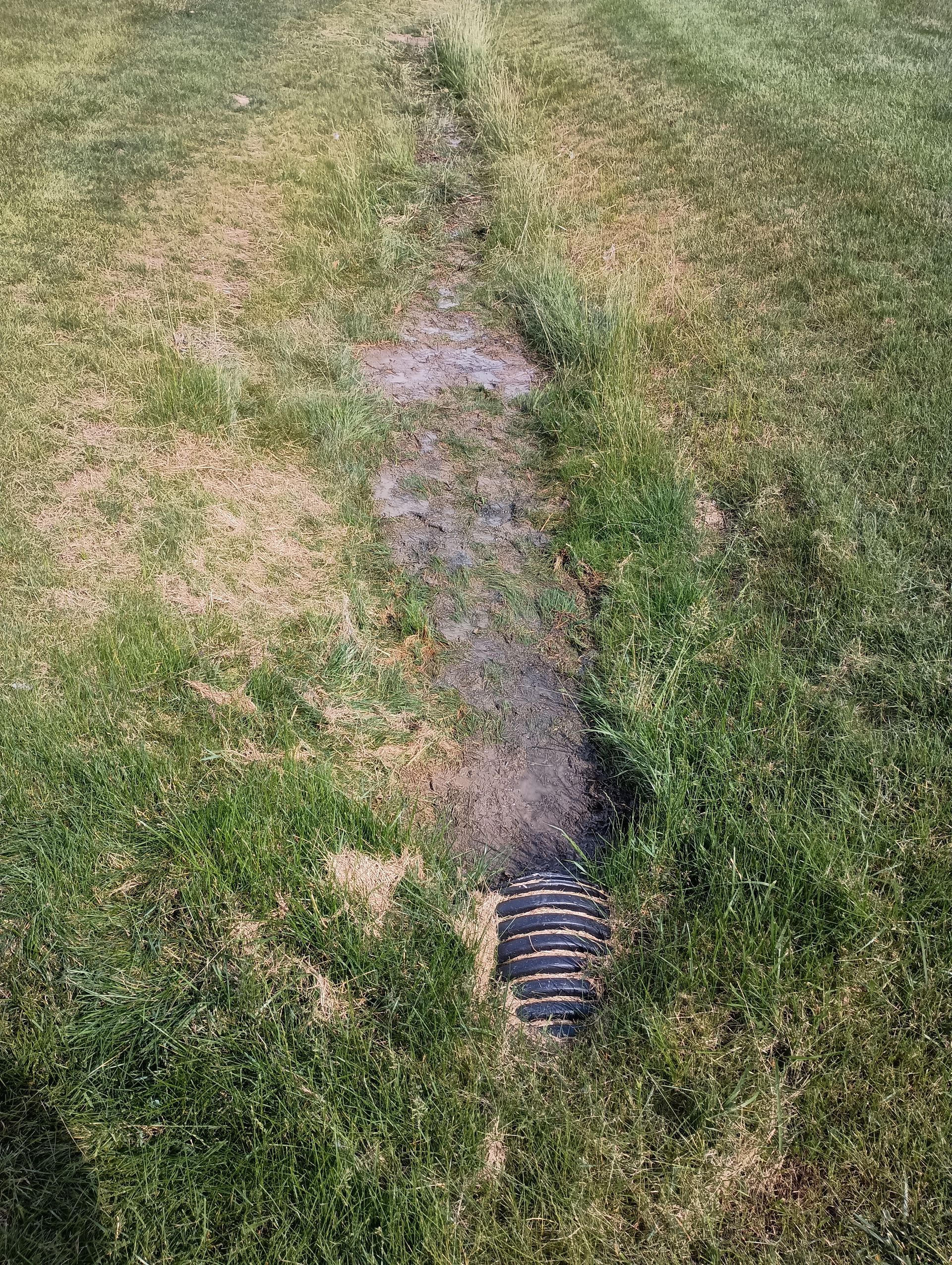 Drainage ditch in a grassy area, with water and a grate at the bottom.