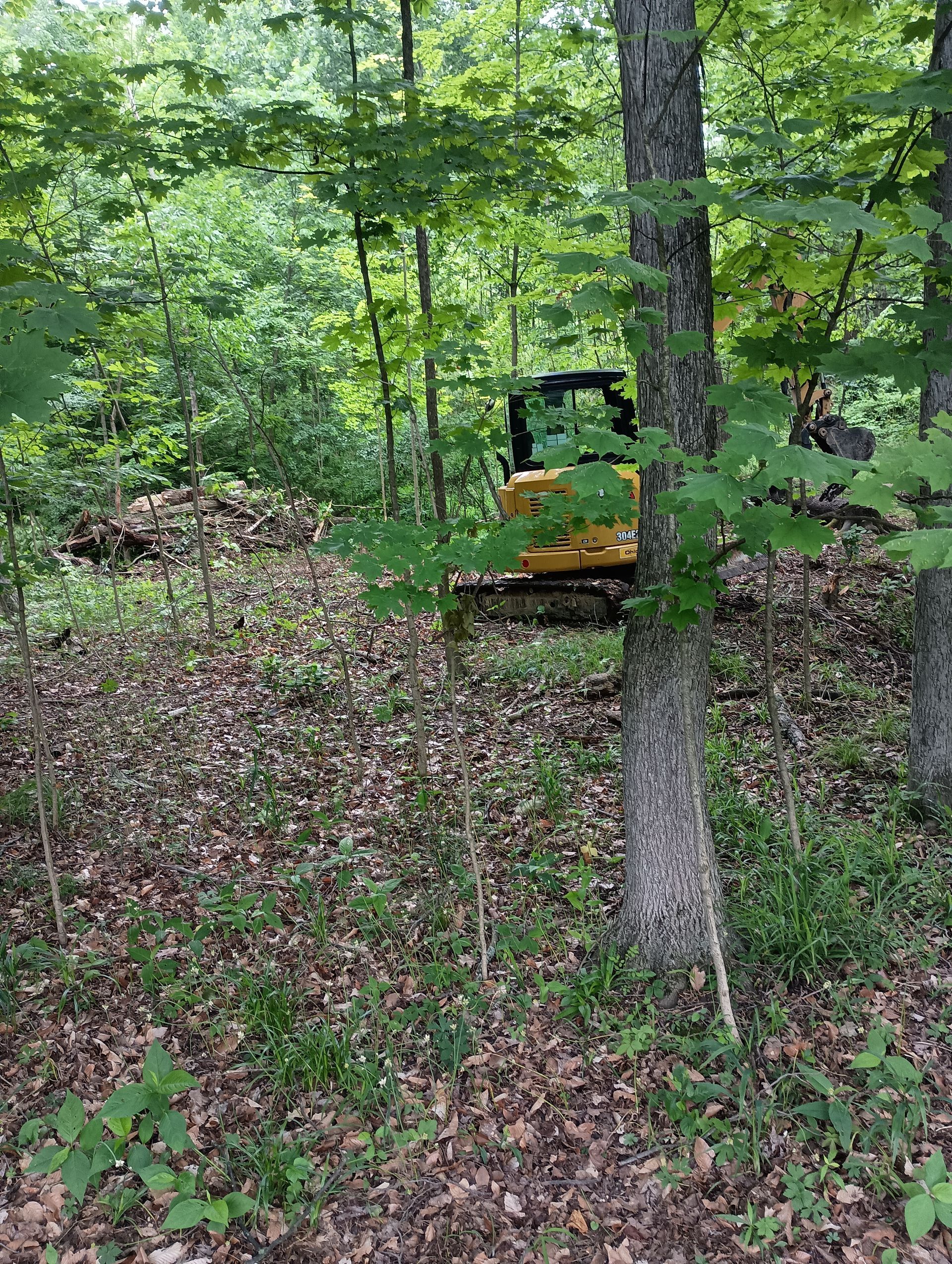 Yellow construction vehicle in a wooded area, partially obscured by trees and foliage.