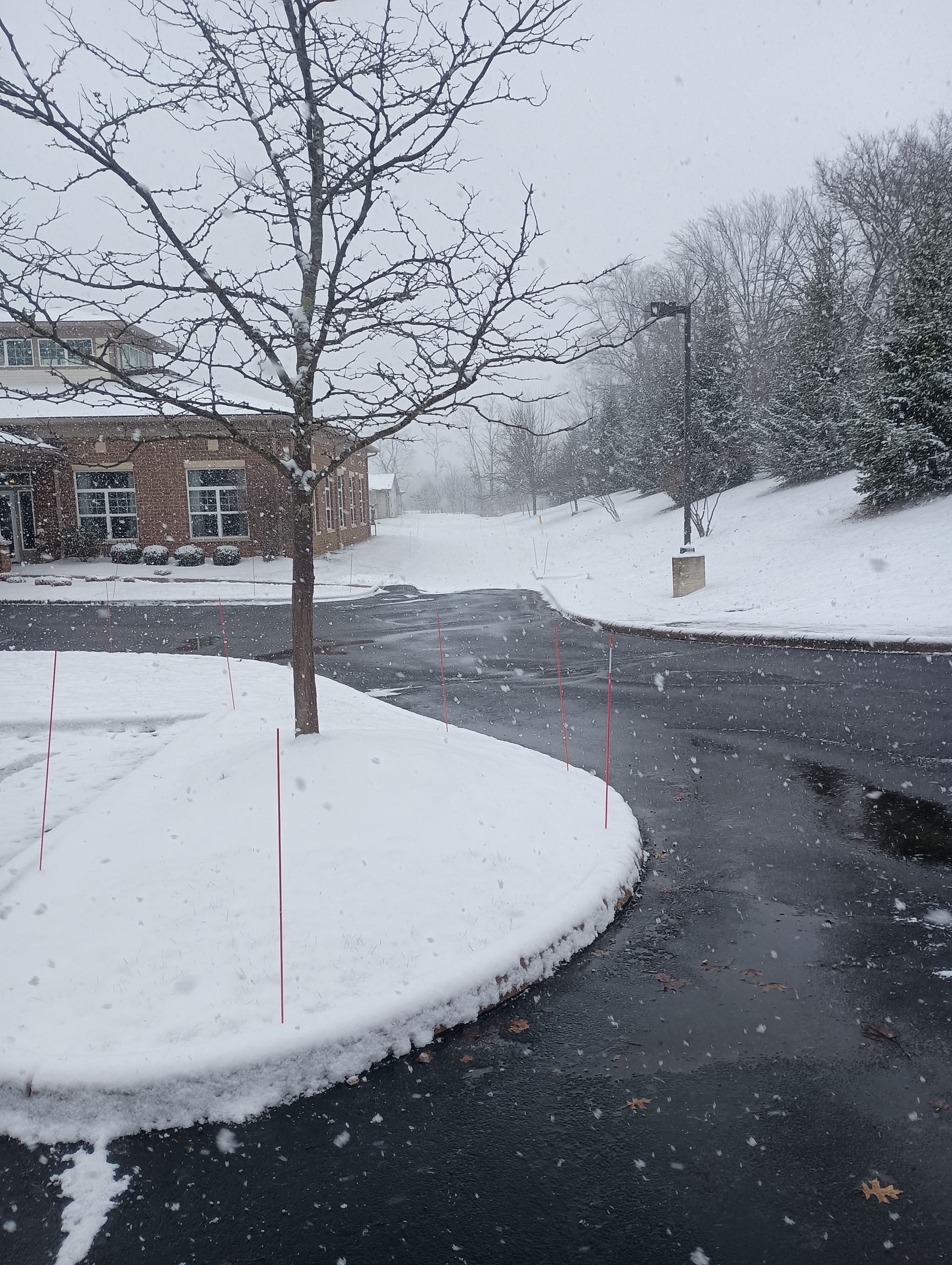 Snowy scene with a bare tree, building, and road covered in snow.