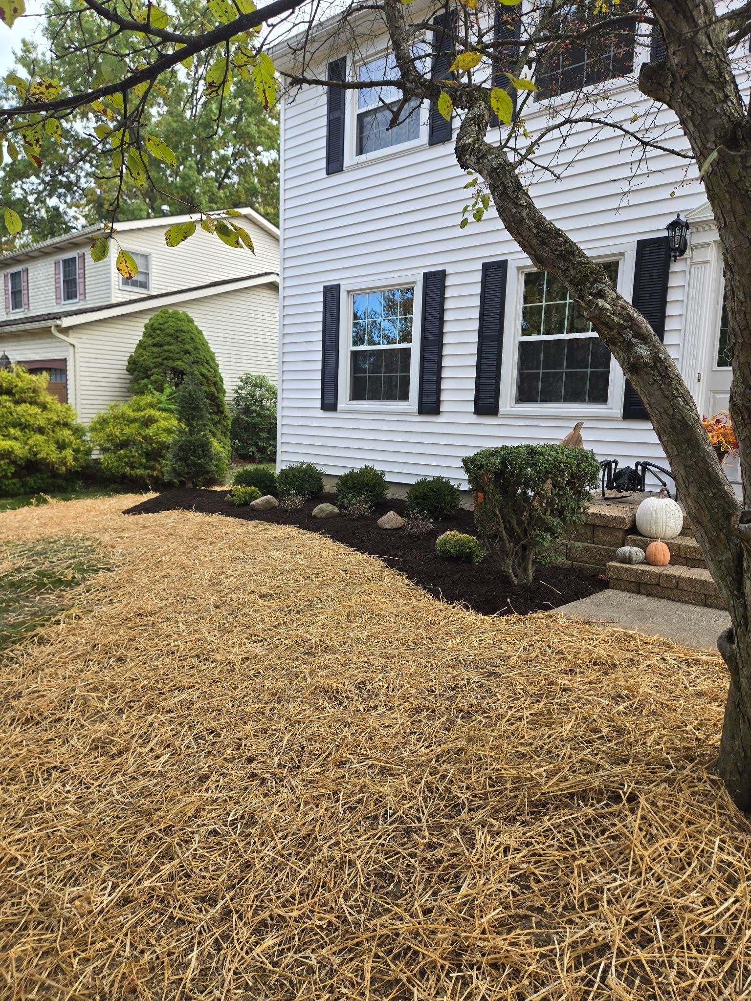 Two-story white house with black shutters, tan mulch in the yard, and a small shrub-lined flower bed.