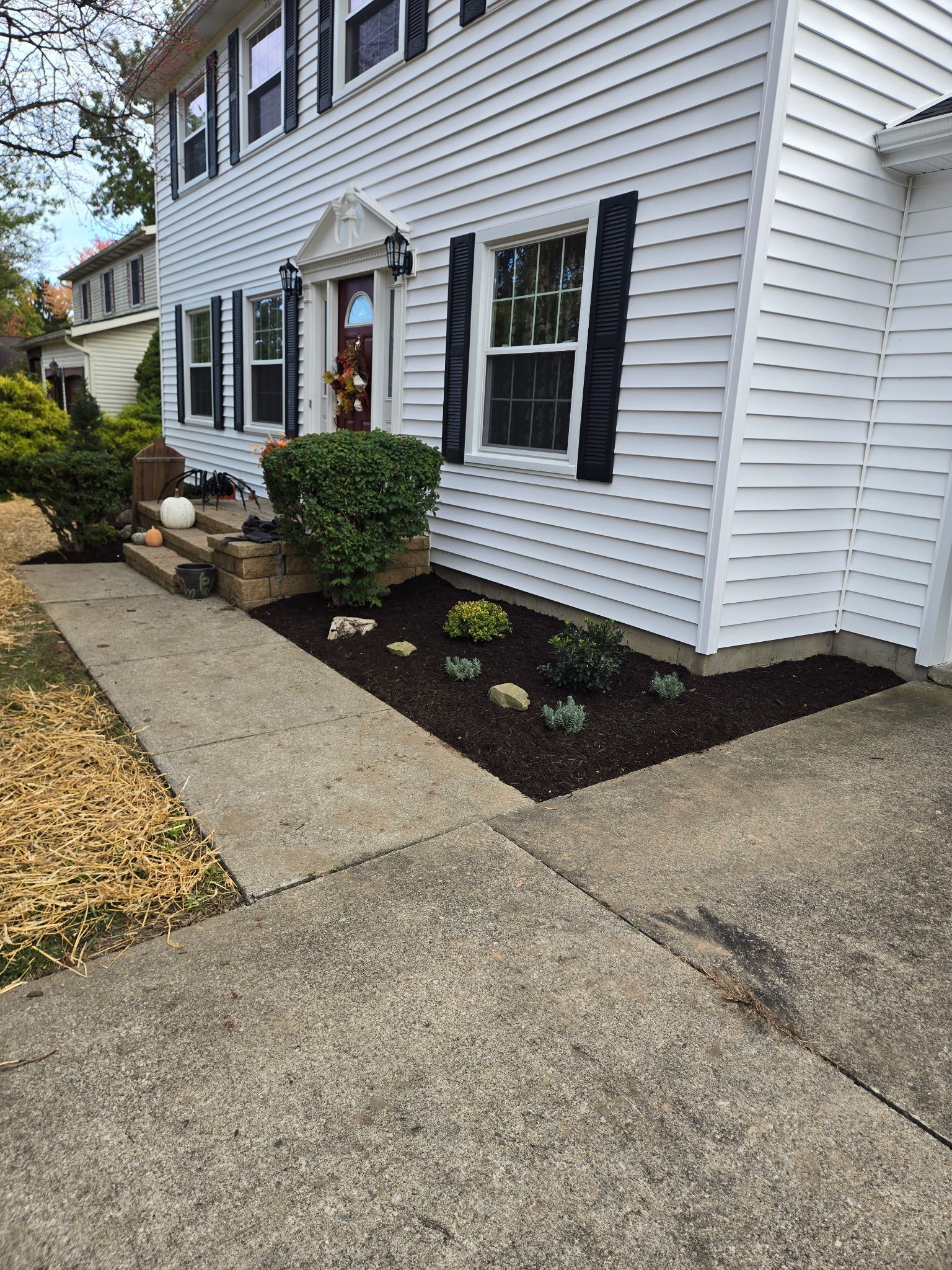 White house with black shutters, sidewalk, and garden bed with mulch and plants.