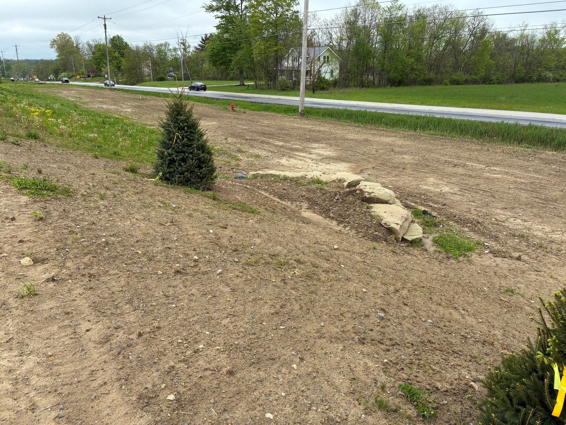 A dirt roadside with a small evergreen tree, and a stone pile near a road.