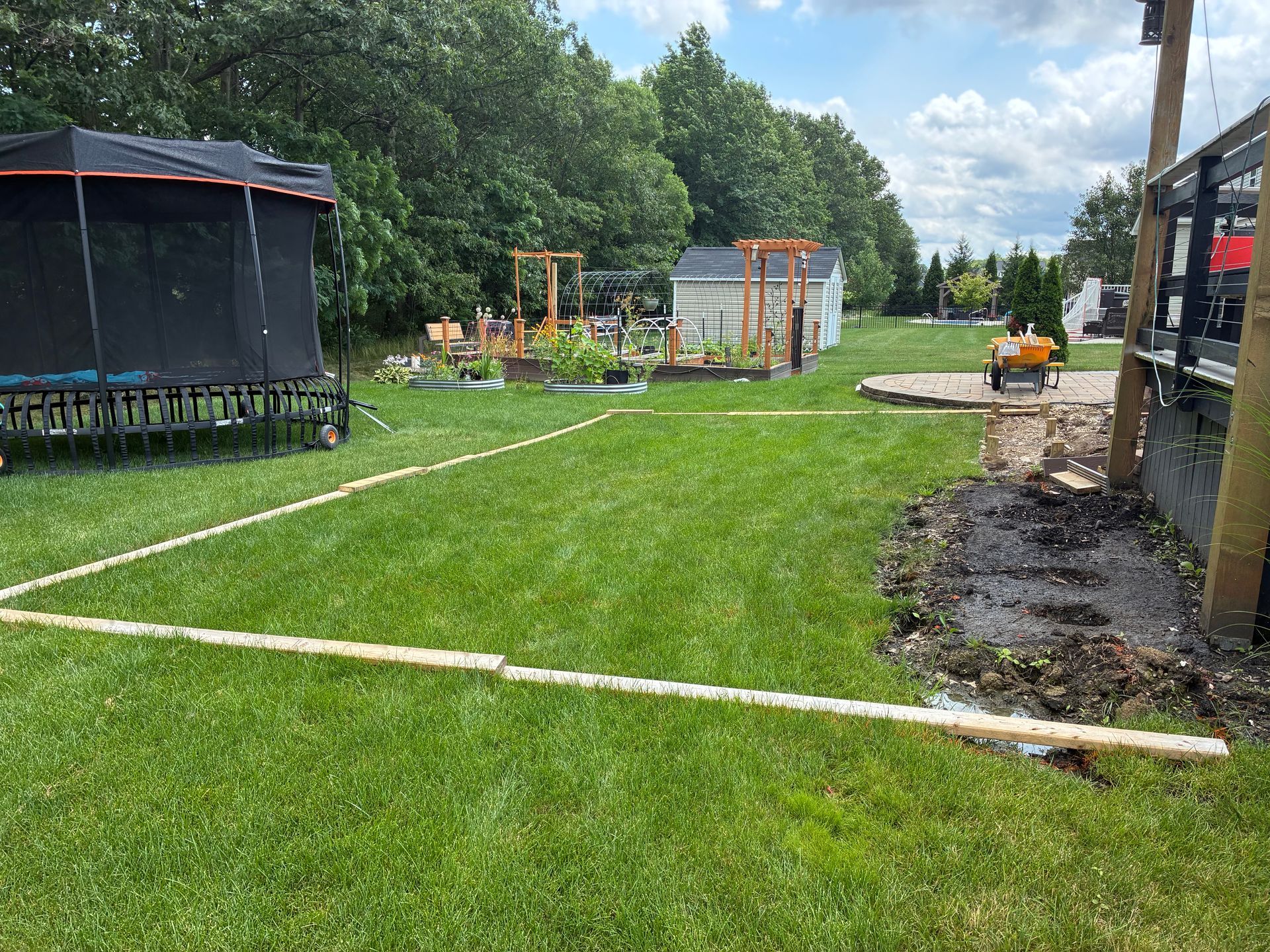 Green lawn with wood frame outlining a section, trampoline, garden beds, and shed.