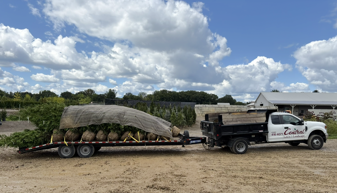 Truck pulling a trailer loaded with potted plants, secured with netting, in a sunny outdoor setting.