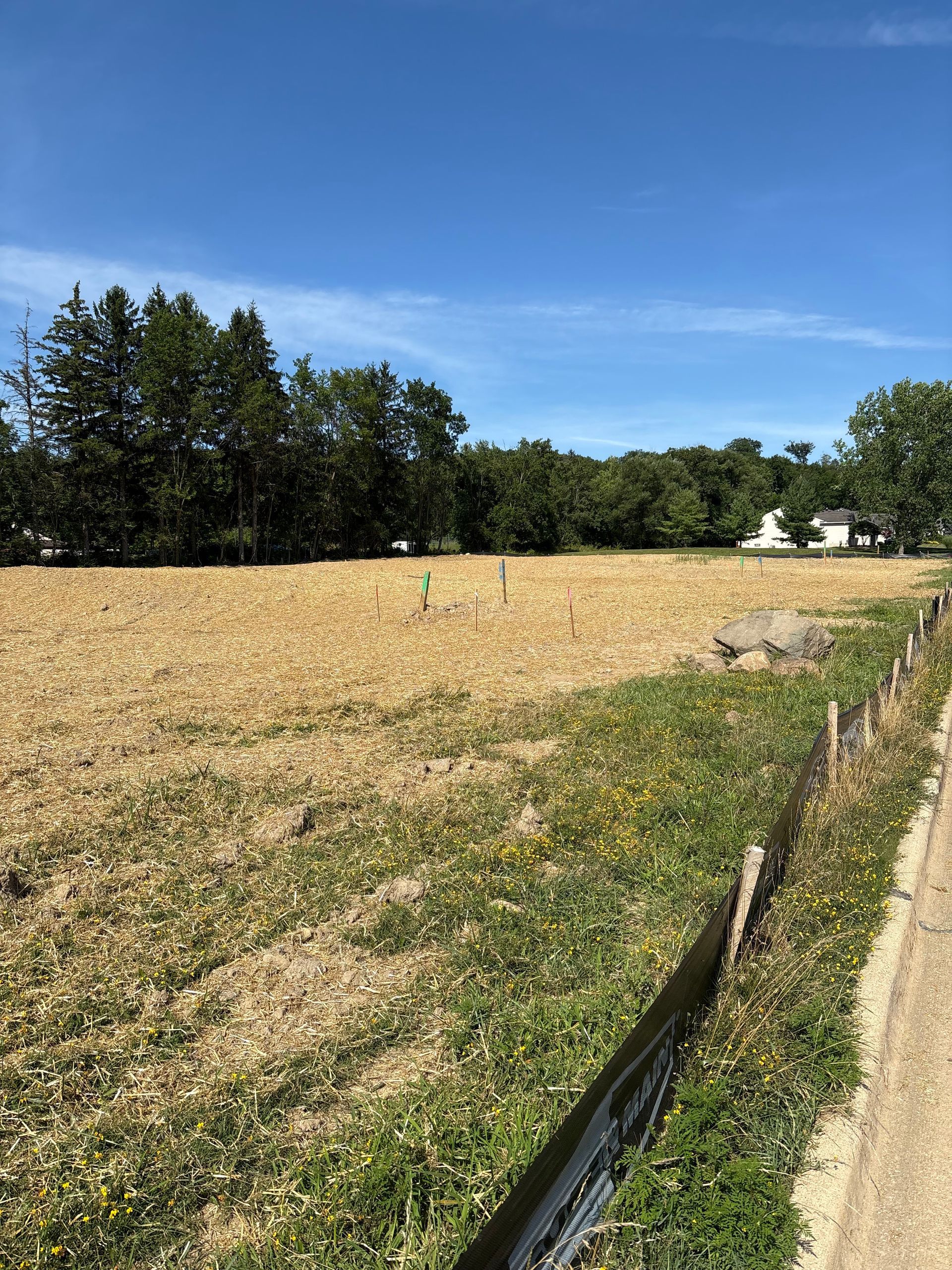 Open field with dry grass, trees in the background, and a bright blue sky.