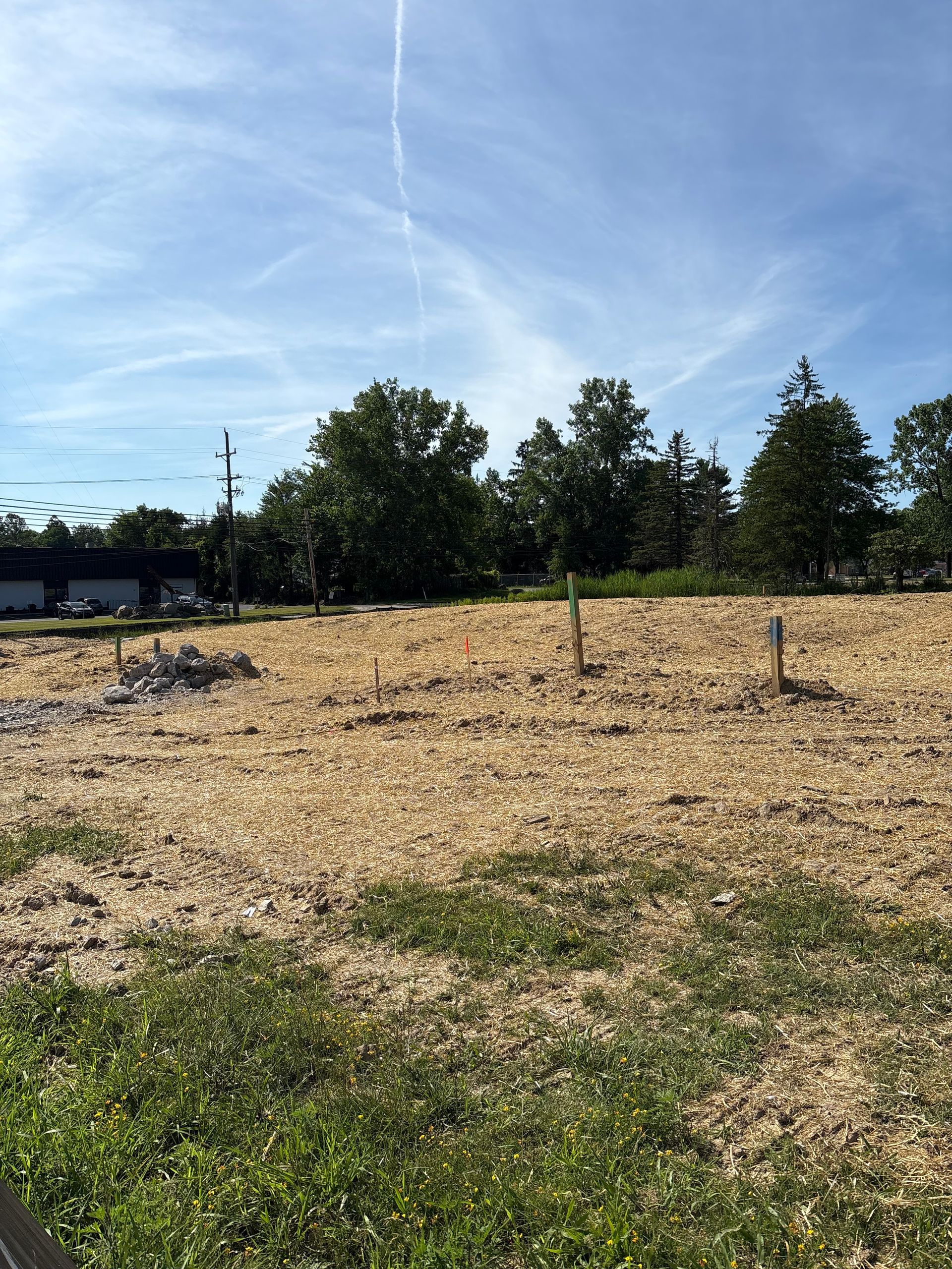 Cleared field covered in wood chips under a blue sky with scattered trees in the background.