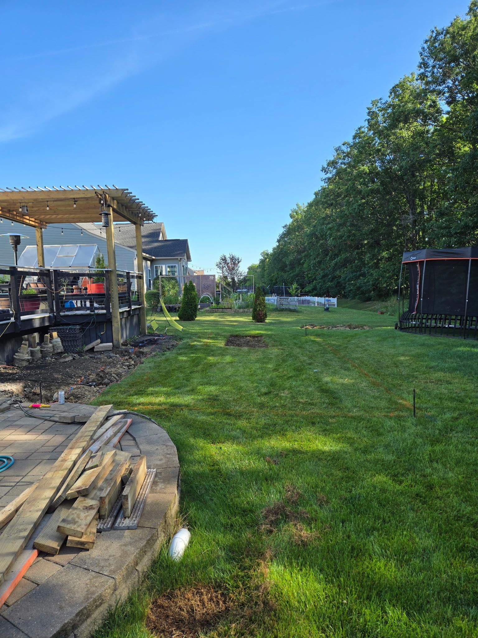 Backyard scene with a wooden pergola, lush green grass, and trees under a clear blue sky.
