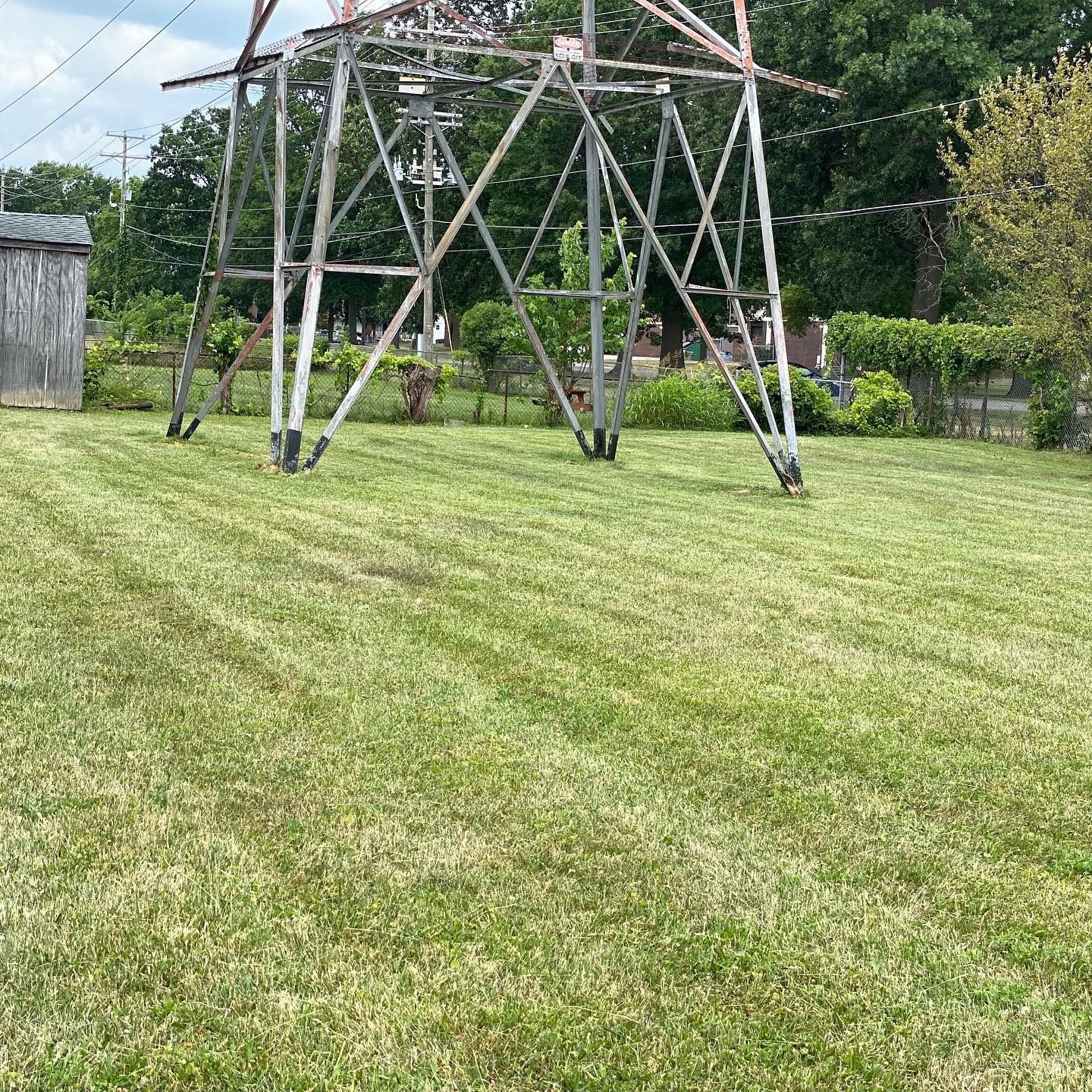 A freshly mowed green lawn with a large metal power line tower in the background, near a wooden shed.