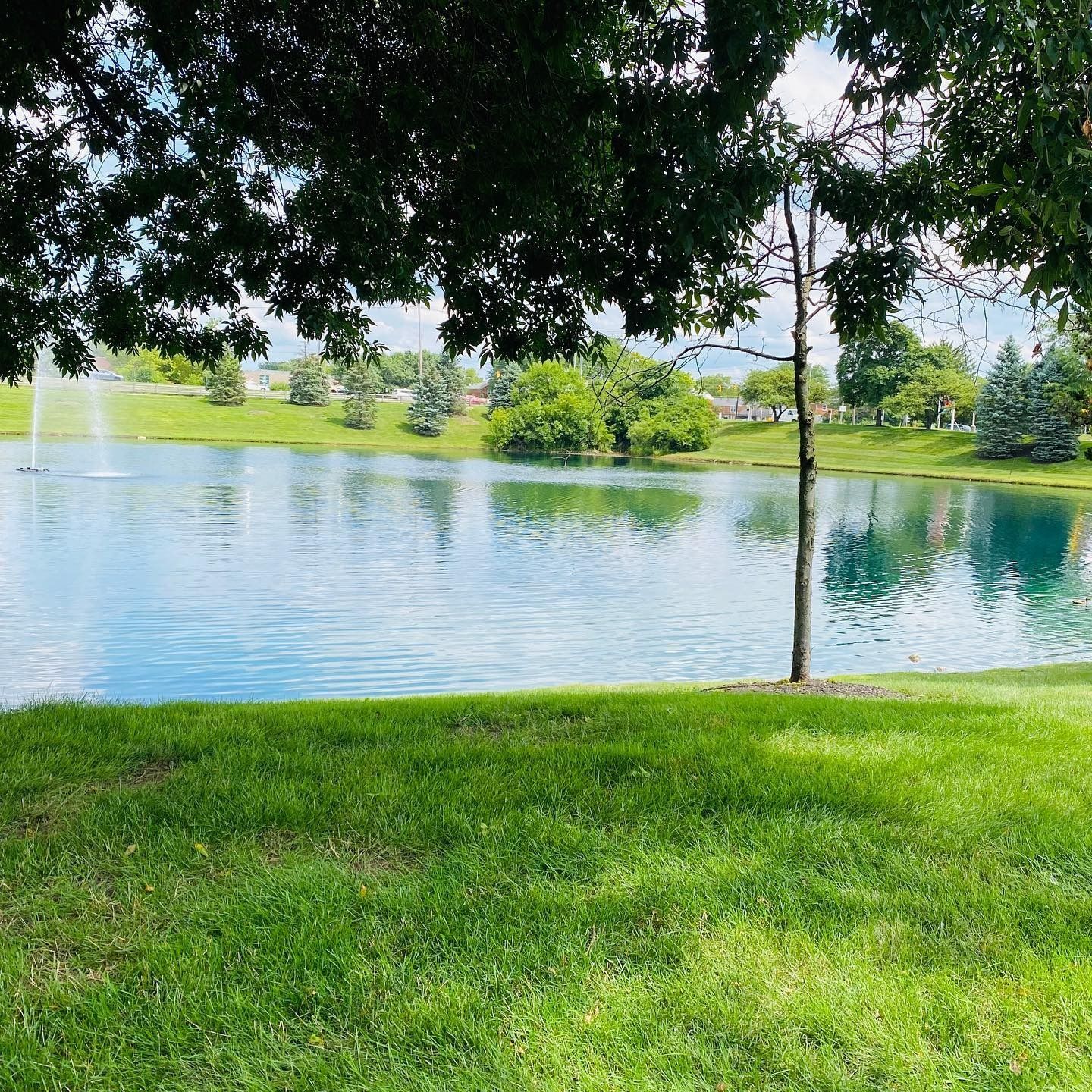 A blue lake with a fountain surrounded by green grass and trees on a sunny day.