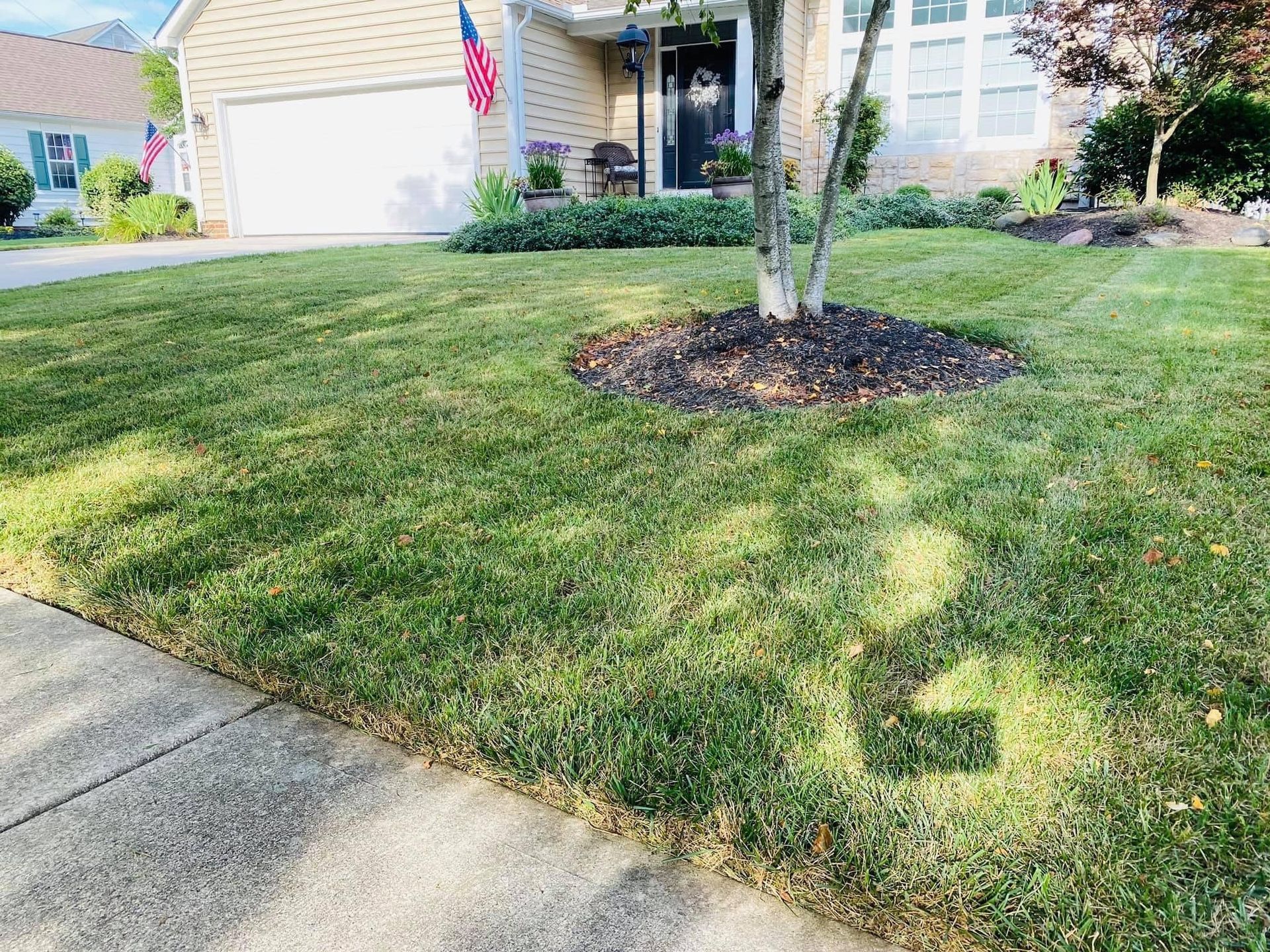 Lawn in front of a house, with a tree and flowerbed. The grass is green, the house is beige.