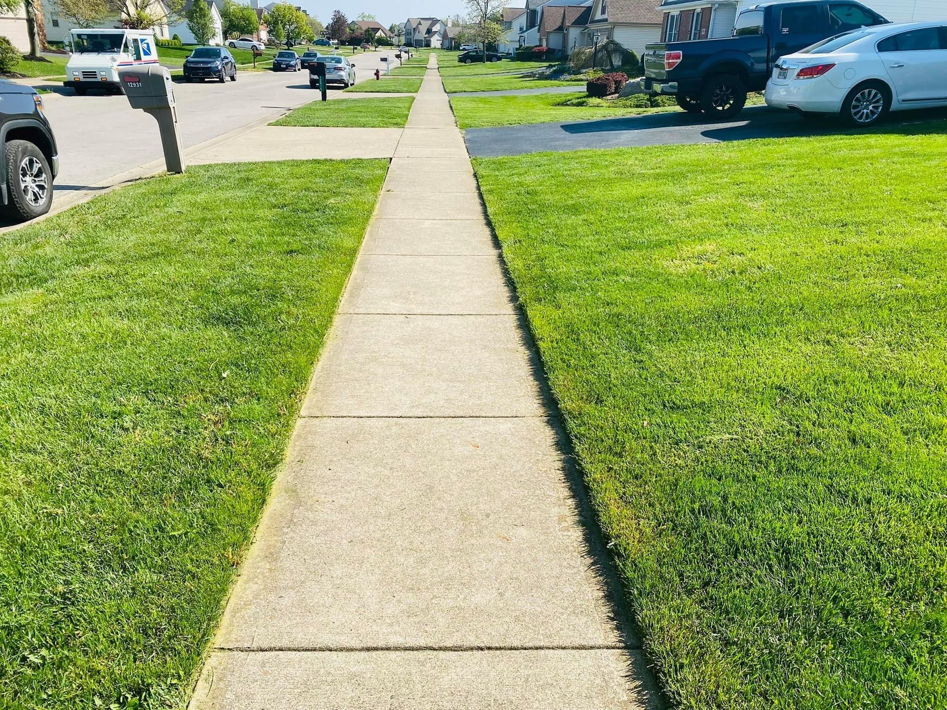 Sidewalk bordered by green grass in a residential neighborhood on a sunny day.
