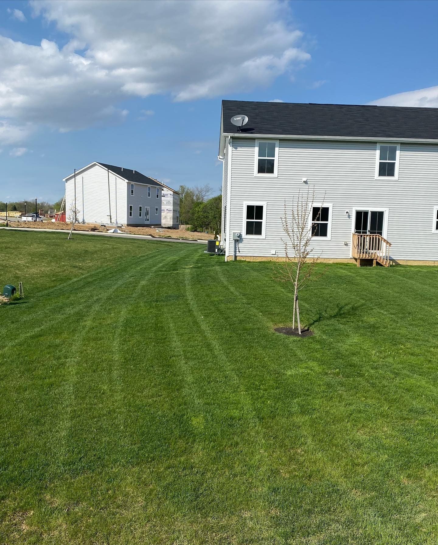 Backyard with striped green lawn, light gray house, and a house under construction on a sunny day.