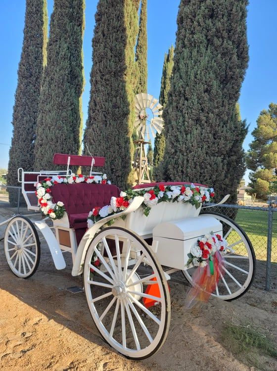 A wedding horse and carriage with trees behind it