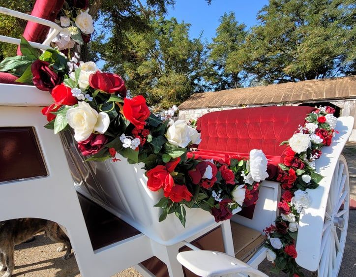 horse carriage with red velvet seats and white princess carriage