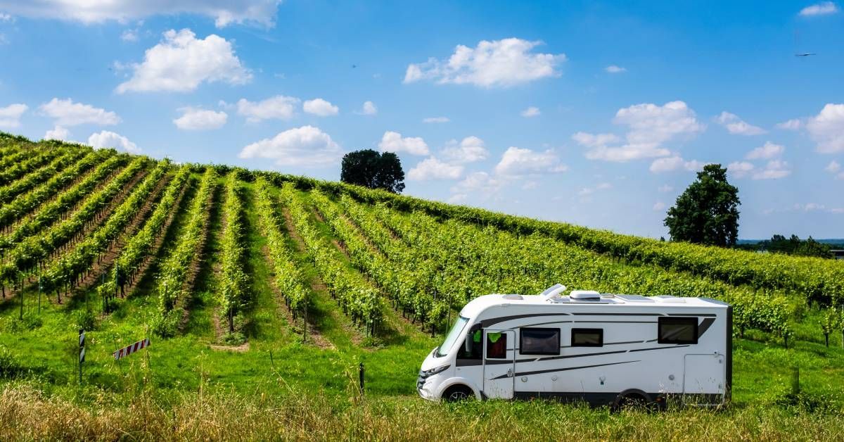 A white camper van parked next to a vineyard on a bright, sunny day. The vineyard is lush and green.