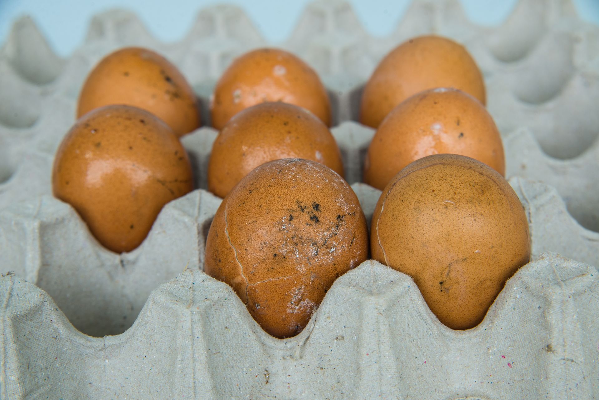 Brown eggs in a cardboard egg carton. Some eggs show spotting and discoloration.