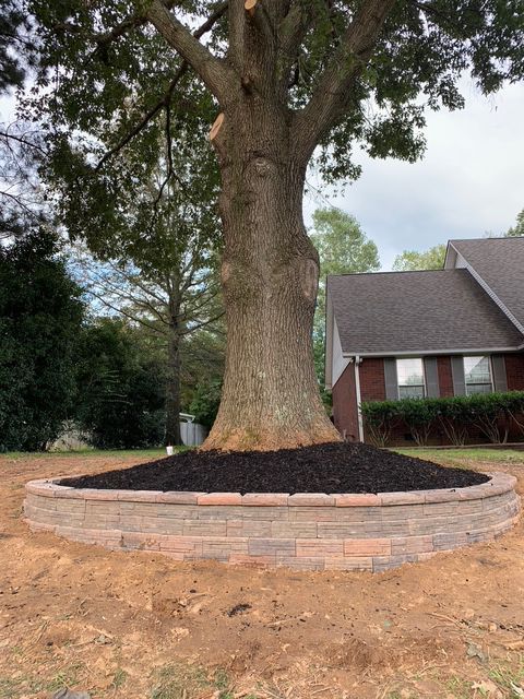 A large tree is sitting in the middle of a dirt field in front of a house.