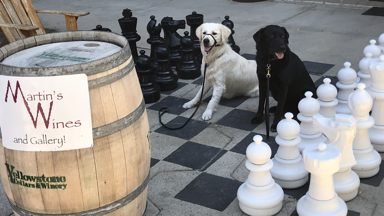 Two dogs are playing chess next to a barrel that says martin 's wines