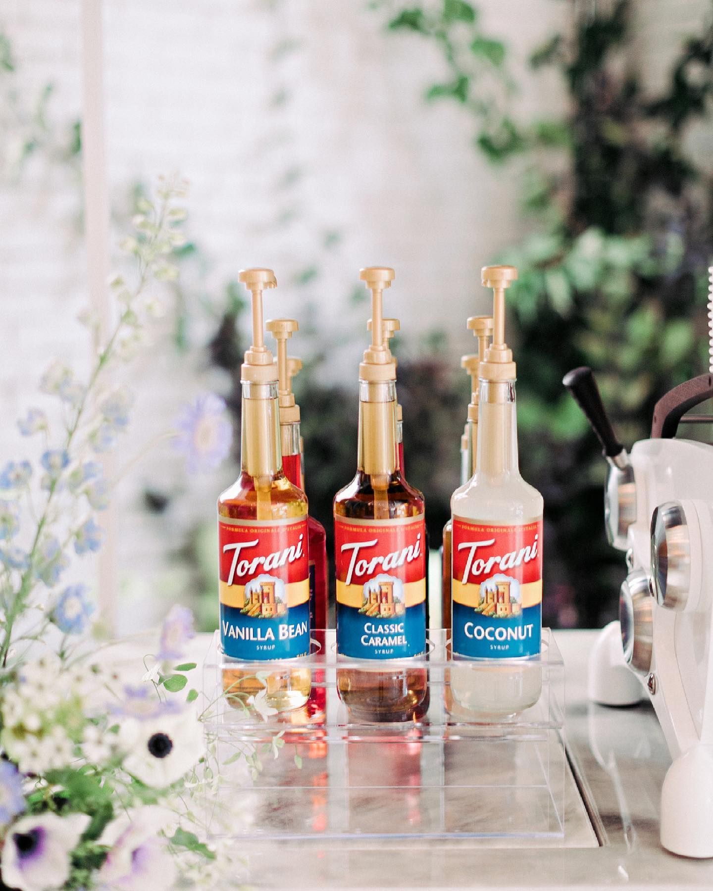 Three Bottles of Torani Syrup — Gig Harbor, WA — Blooming Espresso