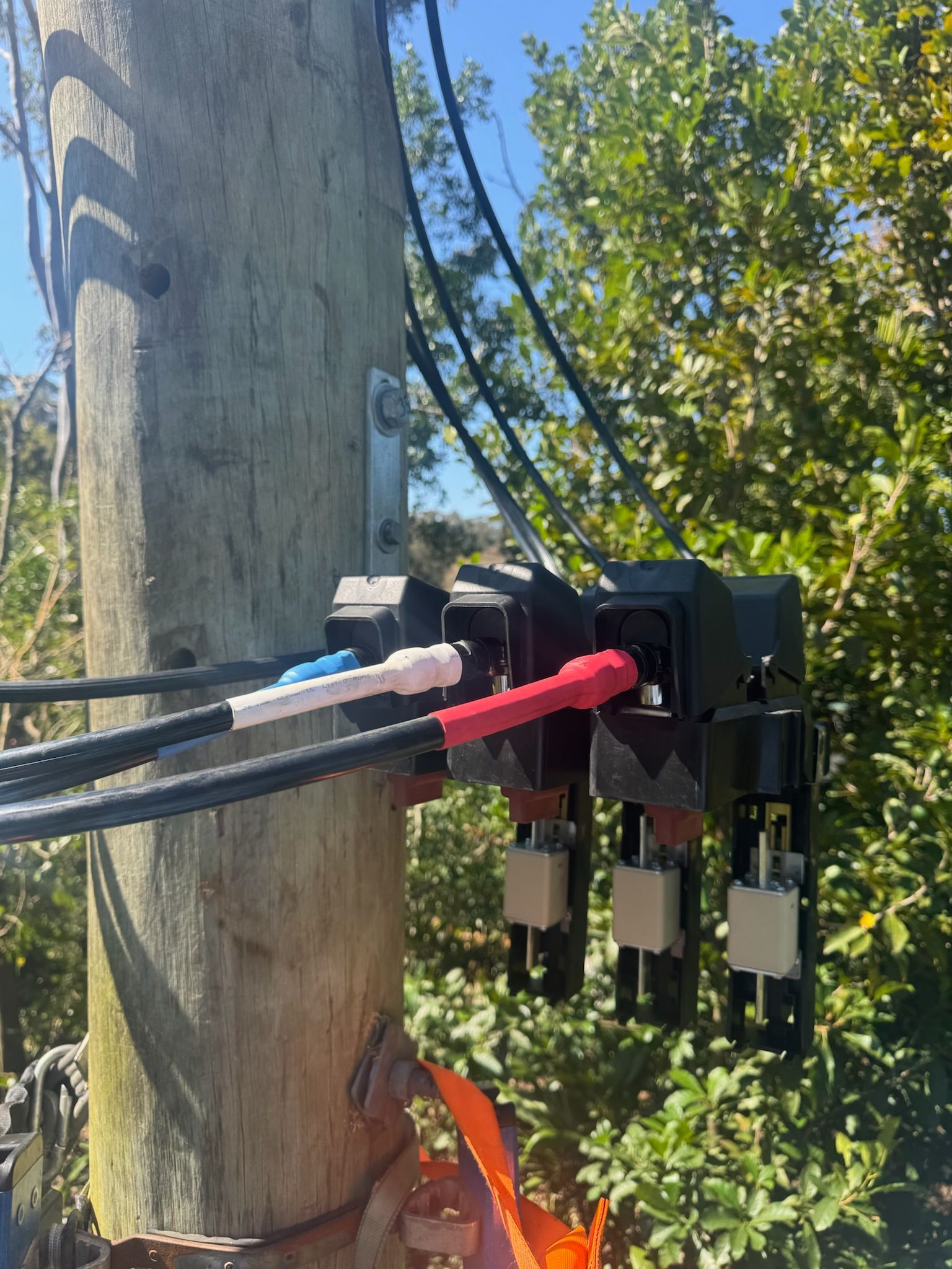 red & blue cables on a pole — DMP Electrical Contractors In Singleton, NSW