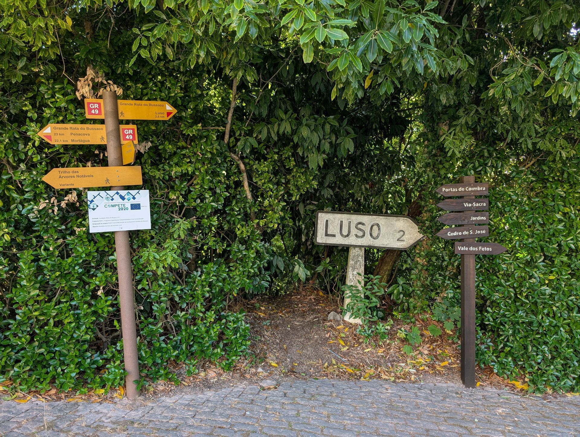 Trail signage in the Bussaco Forest, showing directions to Luso (2 km), Portas de Coimbra, Via-Sacra, Cedro de S. José, and other natural and cultural points of interest. The wooden and metal signs are surrounded by dense, lush green vegetation.