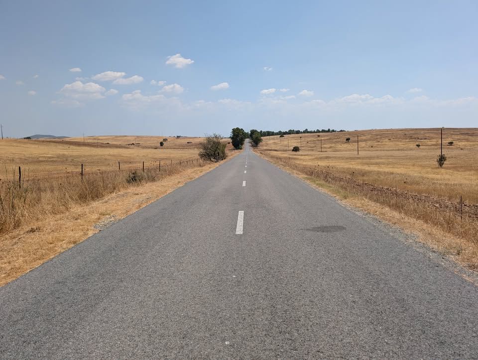 An endless straight road cuts through the golden plains of the Alentejo under a blue summer sky, evoking silence, distance, and the warm stillness of a sun-drenched afternoon, a perfect setting for an intimate elopement in the heart of Portugal.