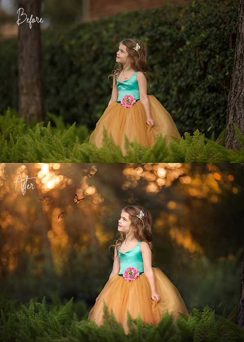 Sara Hunt Photography_ Converted Butterfly 2 Butterfly Editing Video — Before and After in Pearland, TX